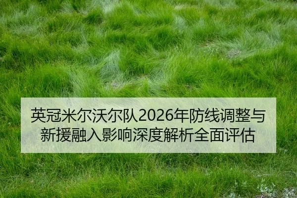 ying-guan-mi-er-wo-er-dui-nian-fang-xian-tiao-zheng-yu-xin-yuan-rong-ru-ying-xiang-shen-du-jie-xi-quan-mian-ping-gu-2-277.jpg